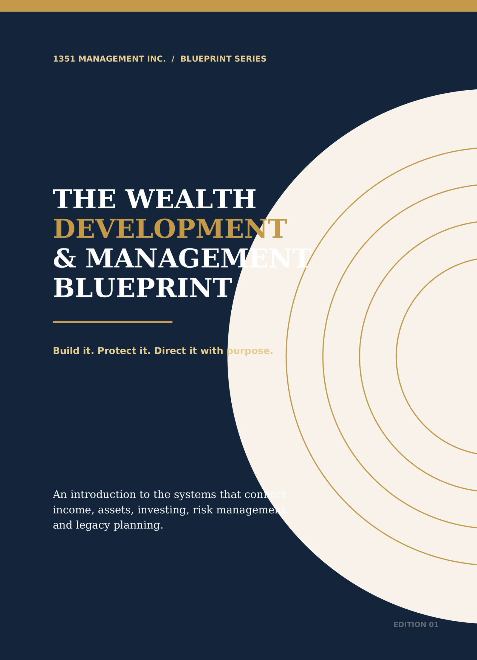 The Wealth Development Blueprint